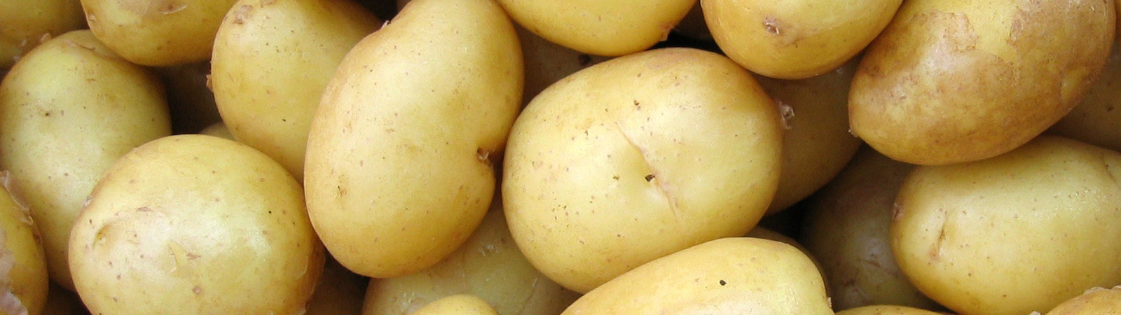 Patata fertilizantes orgánicos 