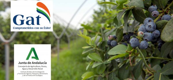 Inicio - GAT Fertilíquidos